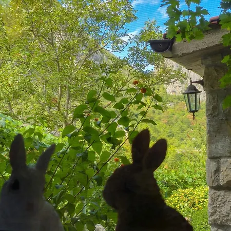 بيت للعطل Villa Tiho