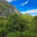 Tiho Vikendica