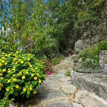 With A Private Pool *